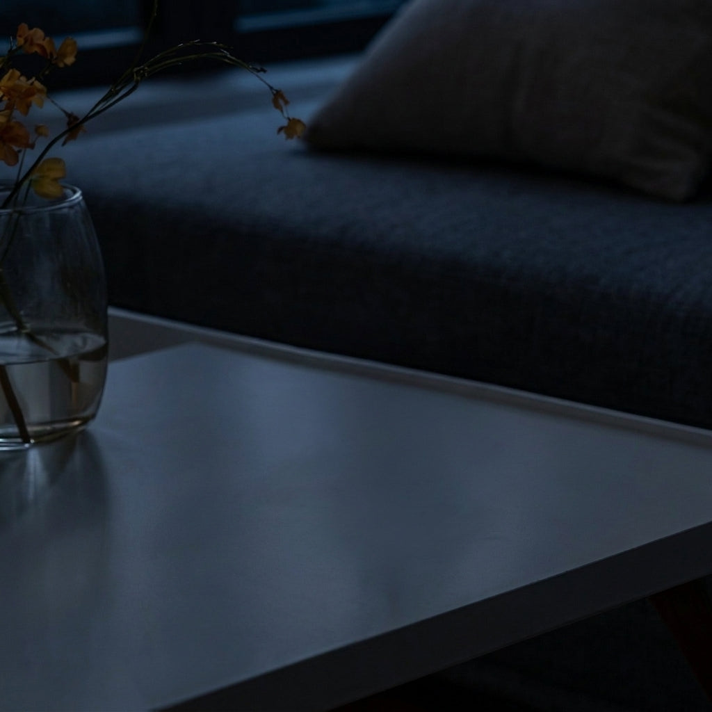 A coffee table and sofa in the dark, no lamp